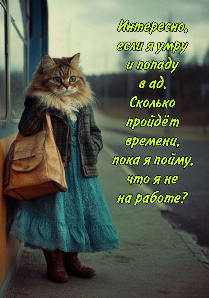 Интересно, если я умру и попаду в ад. Сколько пройдёт времени, пока я пойму, что я не на работе?