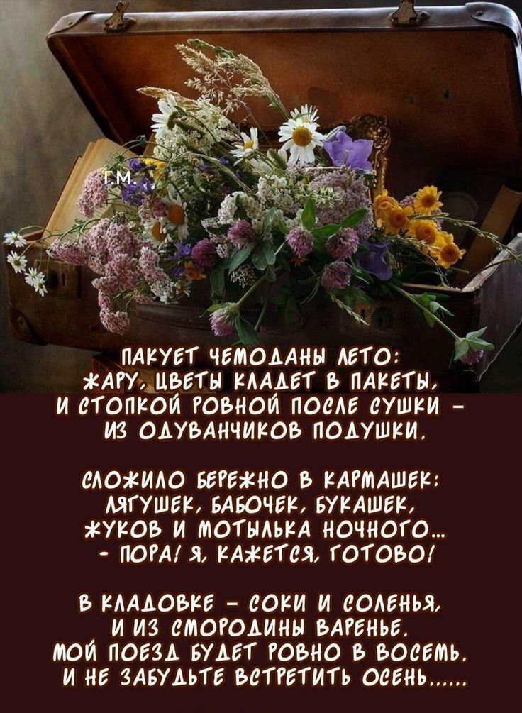 Пакует чемоданы лето: жару, цветы кладет в пакеты, и стопкой ровной после суши – из одуванчиков подушки.
Сложило бережно в кармашек: лягушек, бабочек, букашек, жуков и мотылька ночного… Пора! Я, кажется, готово!
В кладовке – соки и соленья, и из смородины варенье. Мой поезд будет ровно в восемь, и не забудьте встретить осень……