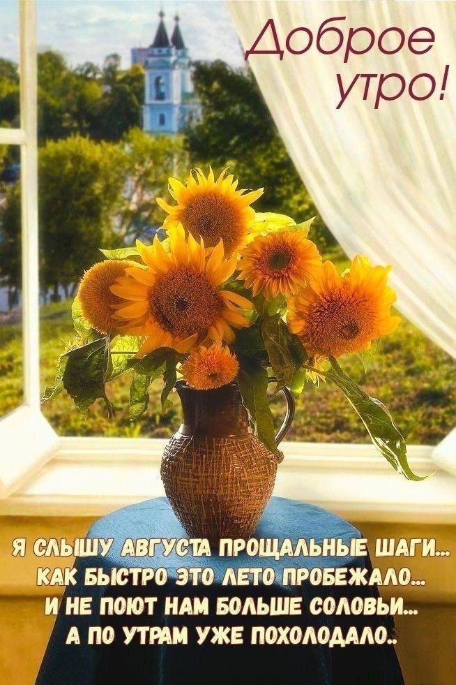 Доброе утро!
Я слышу августа прощальные шаги...
Как быстро это лето пробежало...
И не поет нам больше соловьи...
А по утрам уже похолодало..