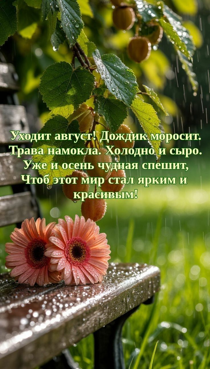 Уходит август! Дождик моросит. Трава намокла. Холодно и сыро. Уже и осень чудная спешит, Чтоб этот мир стал ярким и красивым!