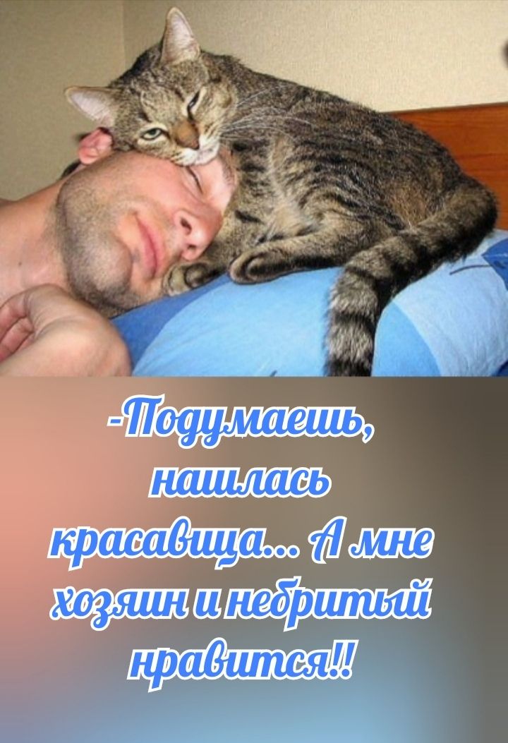 -Подумаешь, нашлась красавица... А мне хозяин и небритый нравится!!