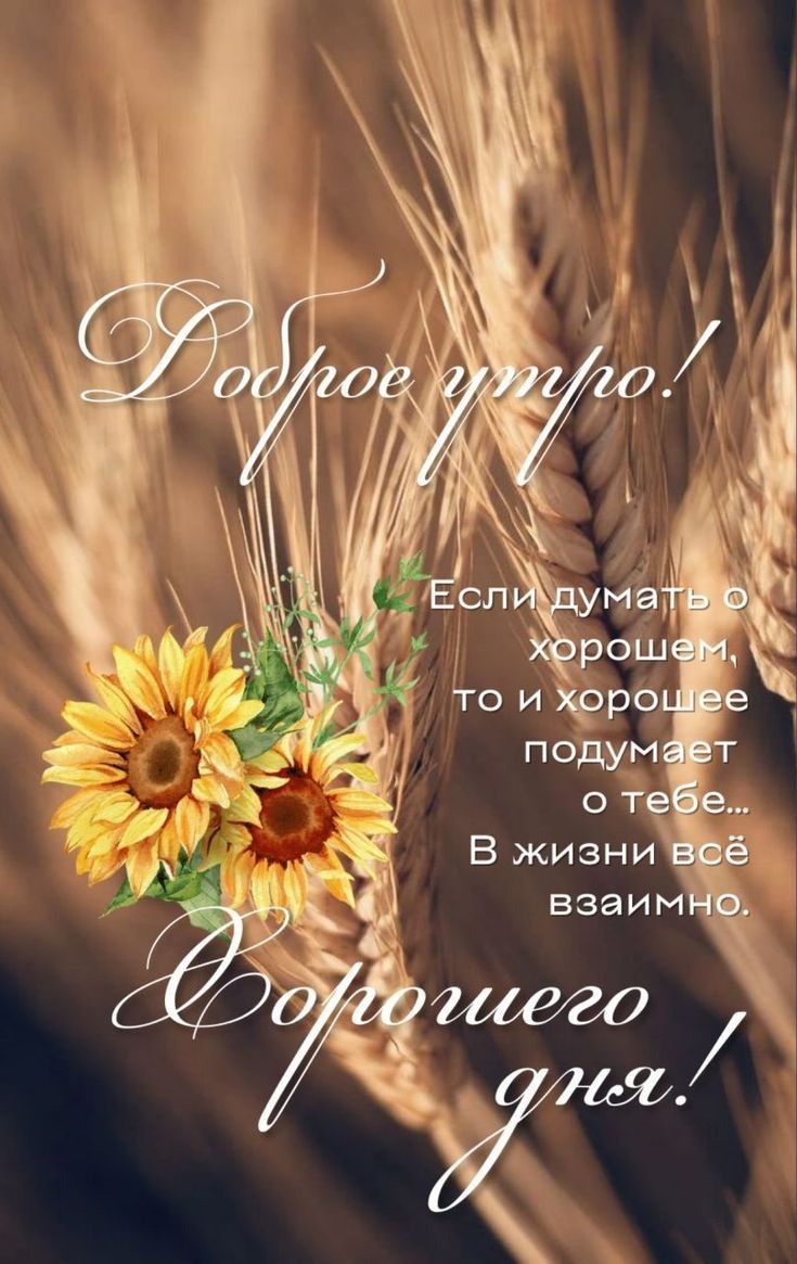 Доброе утро! Если думать о хорошем, то и хорошее подумает о тебе... В жизни всё взаимно. Хорошего дня!