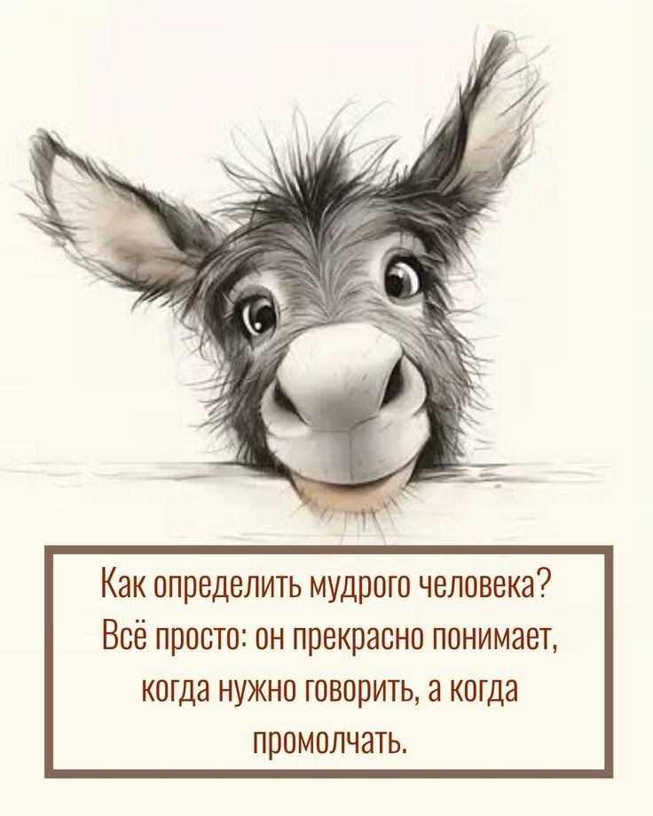Как определить мудрого человека? Всё просто: он прекрасно понимает, когда нужно говорить, а когда промолчать.