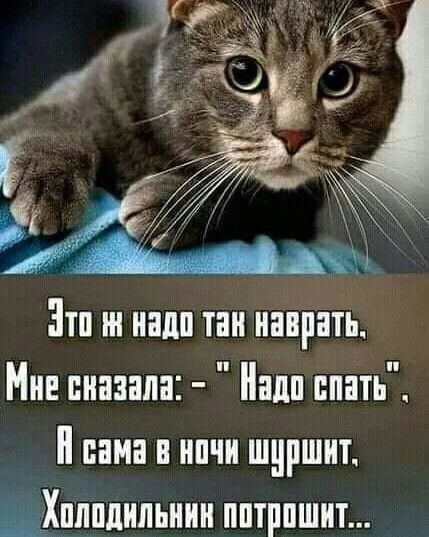 Это ж надо так наврать. Мне сказала: - 