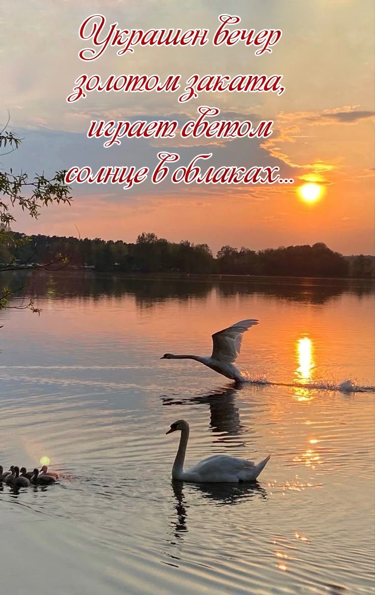 Украшен вечер золотом заката, играет светом солнце в облаках...