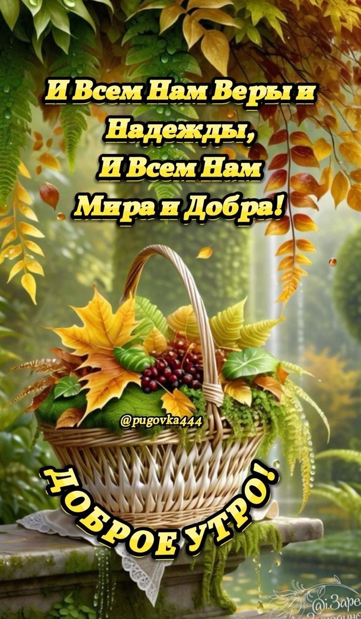 И Всем Нам Веры и Надежды,
И Всем Нам Мира и Добра!
ДОБРОЕ УТРО!