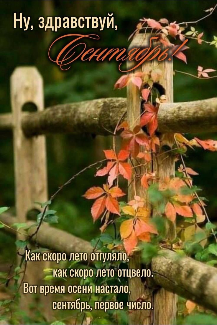 Ну, здравствуй, Сентябрь!

Как скоро лето отгуло,
как скоро лето отцвело.
Вот время осени настало,
сентябрь, первое число.