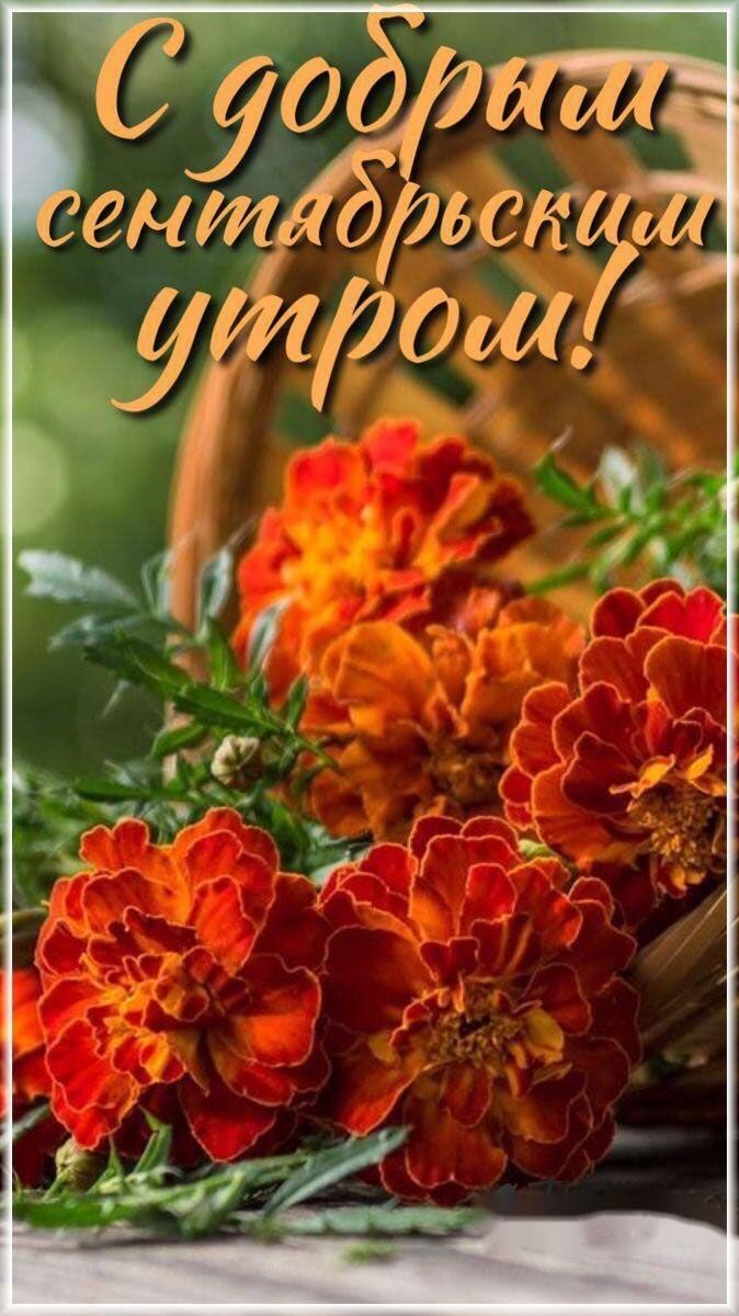 С добрым сентябрьским утром!