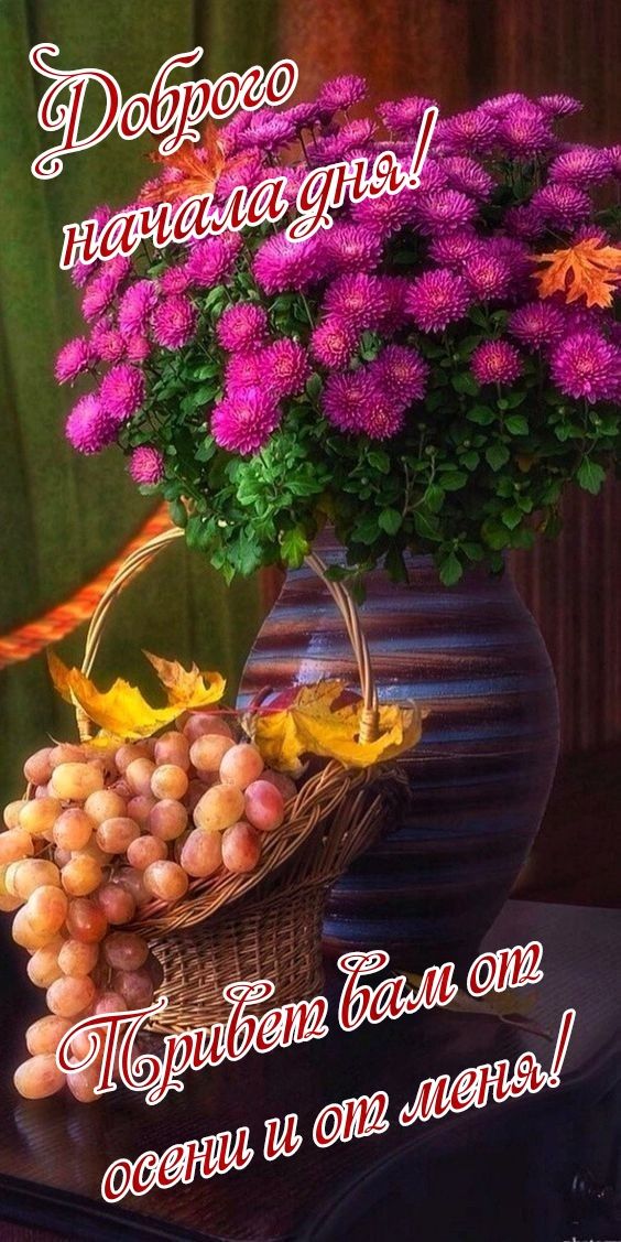 Доброе начало дня! Привет вам от осени и от меня!