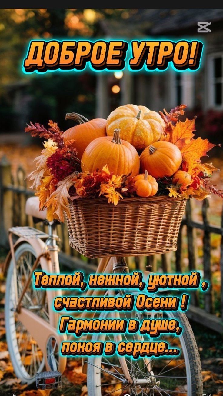 ДОБРОЕ УТРО!
Теплой, нежной, уютной, счастливой Осени! Гармонии в душе, покоя в сердце...