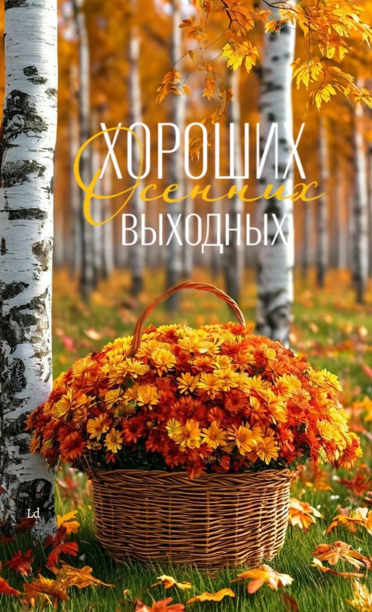 Хороших осенних выходных