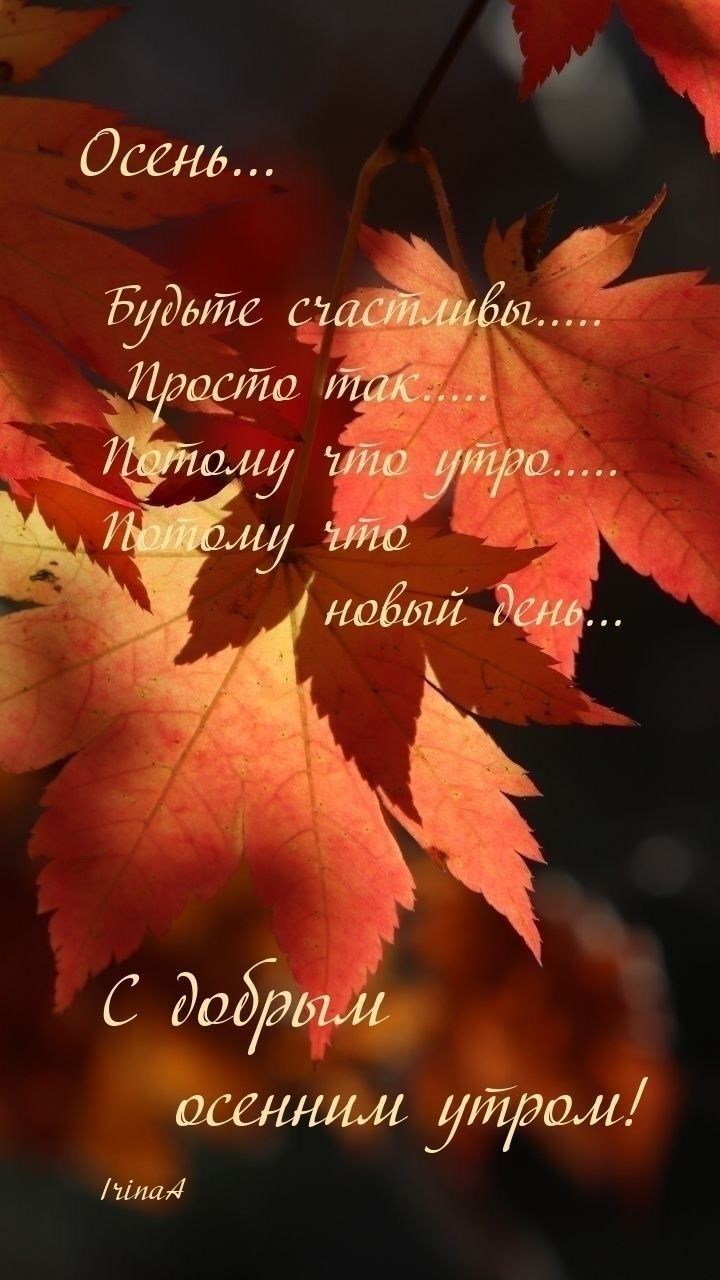 Осень...
Будьте счастливы.....
Просто так....
Потому что утро.....
Потому что новый день...
С добрым осенним утром!
