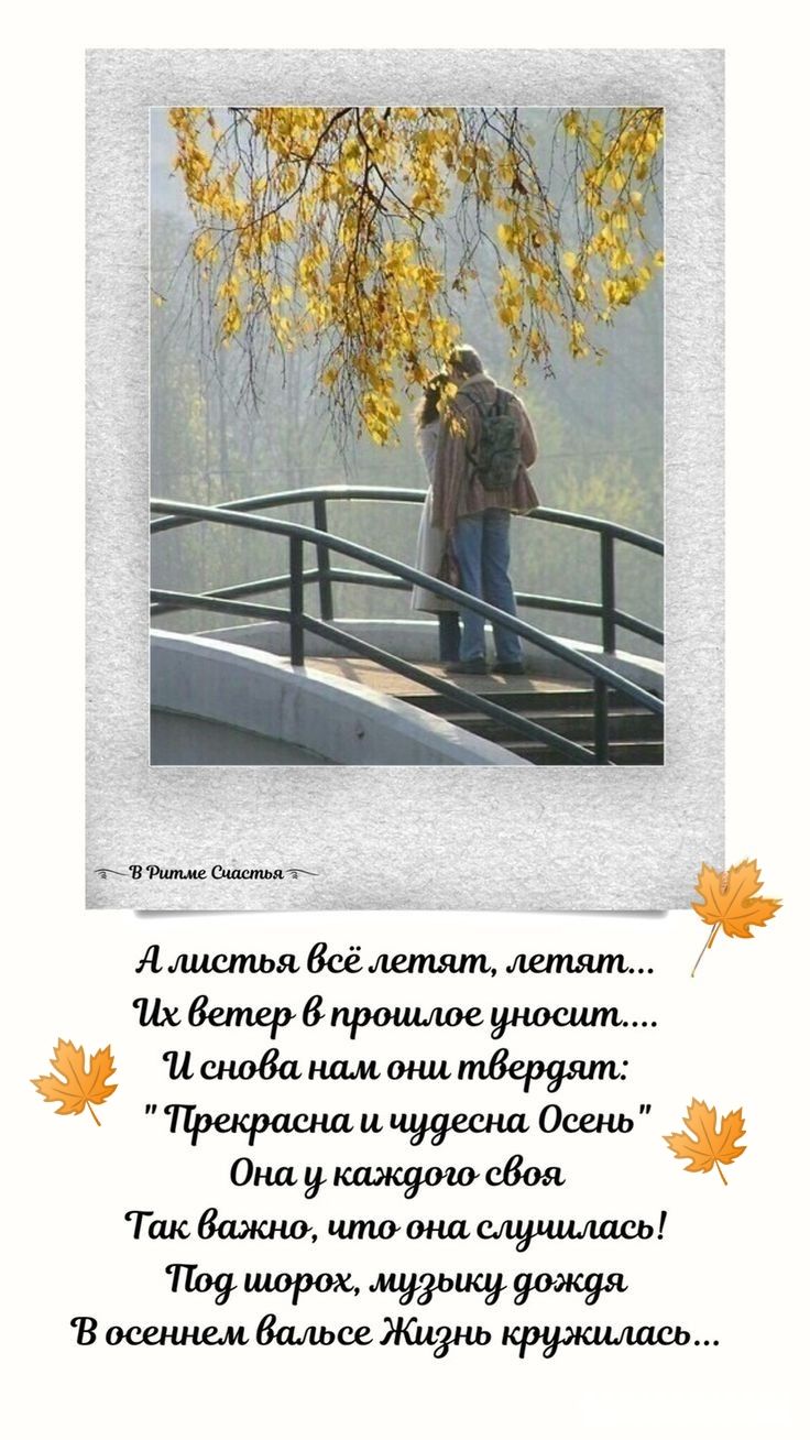 А листья всё летят, летят...
Их ветер в прошлое уносит....
И снова нам они твёрдят:
