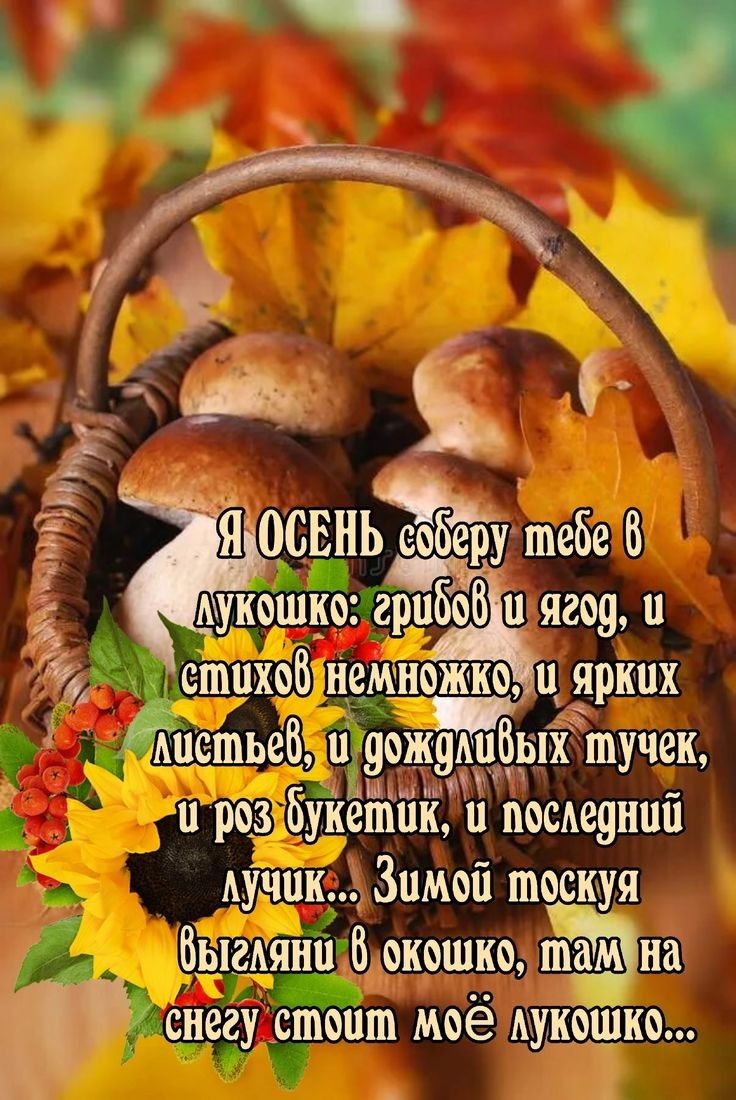 Я ОСЕНЬ соберу тебе в лукошко: грибов и ягод, и стихов немножко, и ярких листьев, и дождливых тучек, и роз букетик, и последний лучик... Зимой тоскую, взгляни в окошко, там на снегу стоит моё лукошко...