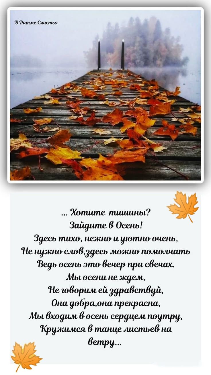 ... Хотите тишины? 
Зайдите в Осень! 
Здесь тихо, нежно и уютно очень, 
Не нужно слов, здесь можно помолчать 
Ведь осень это вечер при свечах. 

Мы осени не ждем, 
Не говорим ей здравствуй, 
Она добра, она прекрасна, 
Мы входим в осень сердцем потупр, 
Кружимся в танце листьев на ветру...
