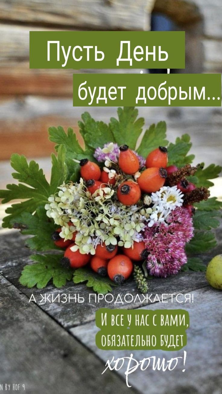 Пусть День будет добрым... А жизнь продолжается! И все у нас с вами, обязательно будет хорошо!