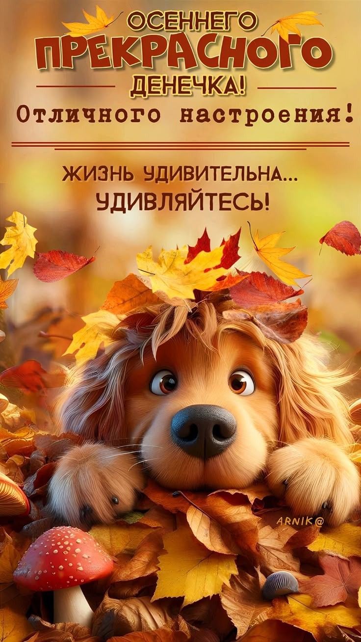 ОСЕННЕГО ПРЕКРАСНОГО ДЕНЕЧКА! Отличного настроения! ЖИЗНЬ УДИВИТЕЛЬНА... УДИВЛЯЙТЕСЬ!