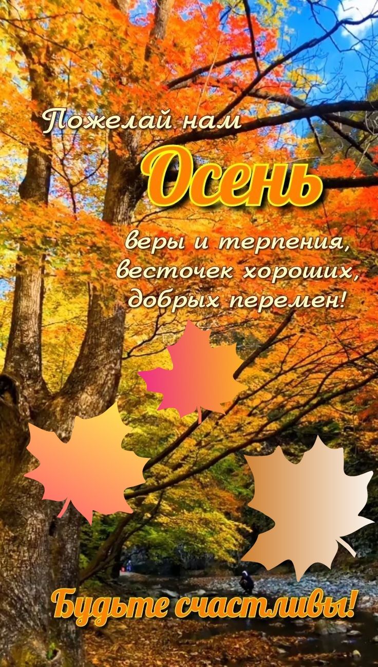 Пожелай нам Осень
веры и терпения,
весточек хороших,
добрых перемен!
Будьте счастливы!