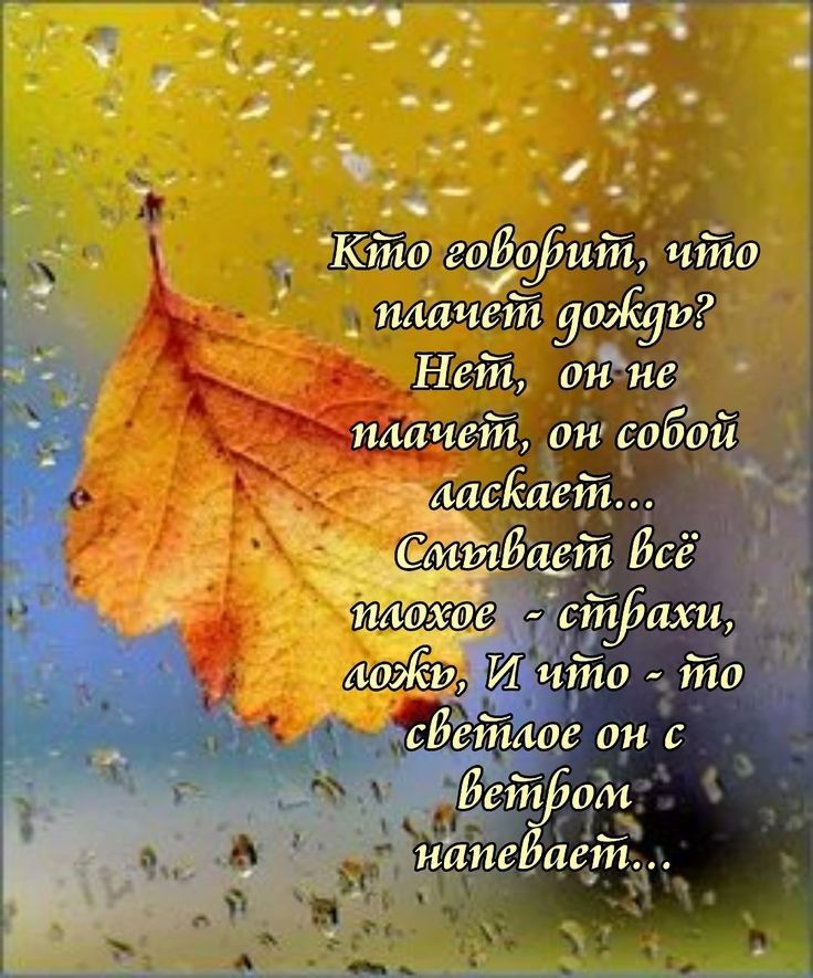 Кто говорит, что плачет дождь? Нет, он не плачет, он собой ласкает... Сливает всё плохое - страхи, ложь, И что - то светлое он с ветром напевает...