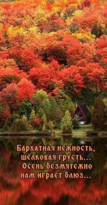 Бархатная нежность, шёлковая грусть... Осень безмятежно нам играет блюз...