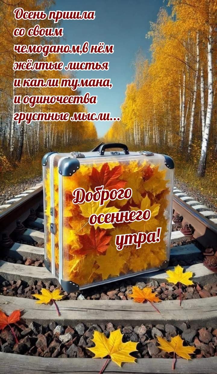 Осень пришла со своим чемоданом, в нём жёлтые листья и капли тумана, и одиночества грустные мысли... Доброе осеннего утра!