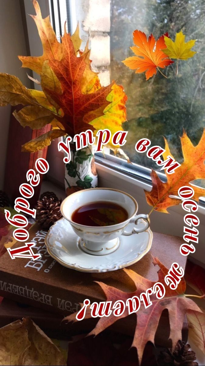 Доброе утро вам осень желаем!