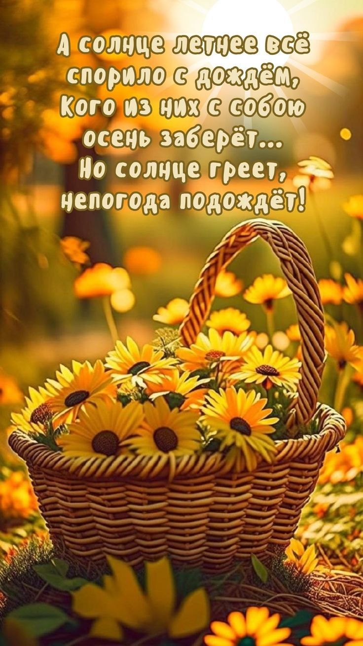 А солнце летнее всё спорило с дождём, Кого из них с собой осень заберёт... Но солнце греет, непогода подождёт!
