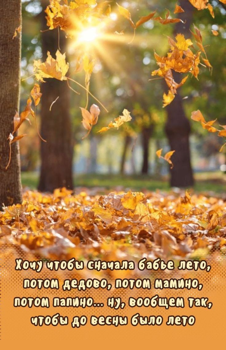 Хочу чтобы сначала бабье лето, потом дедово, потом мамино, потом папино... ну, в общем так, чтобы до весны было лето