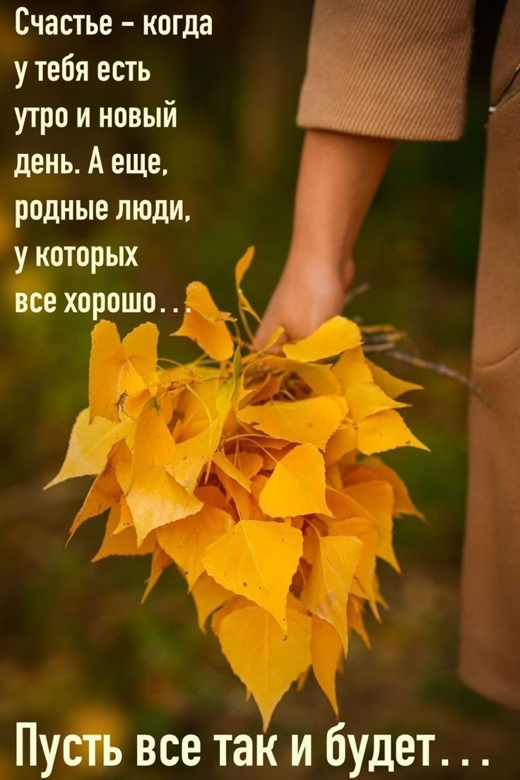 Счастье – когда у тебя есть утро и новый день. А еще, родные люди, у которых все хорошо . . . Пусть все так и будет . . .