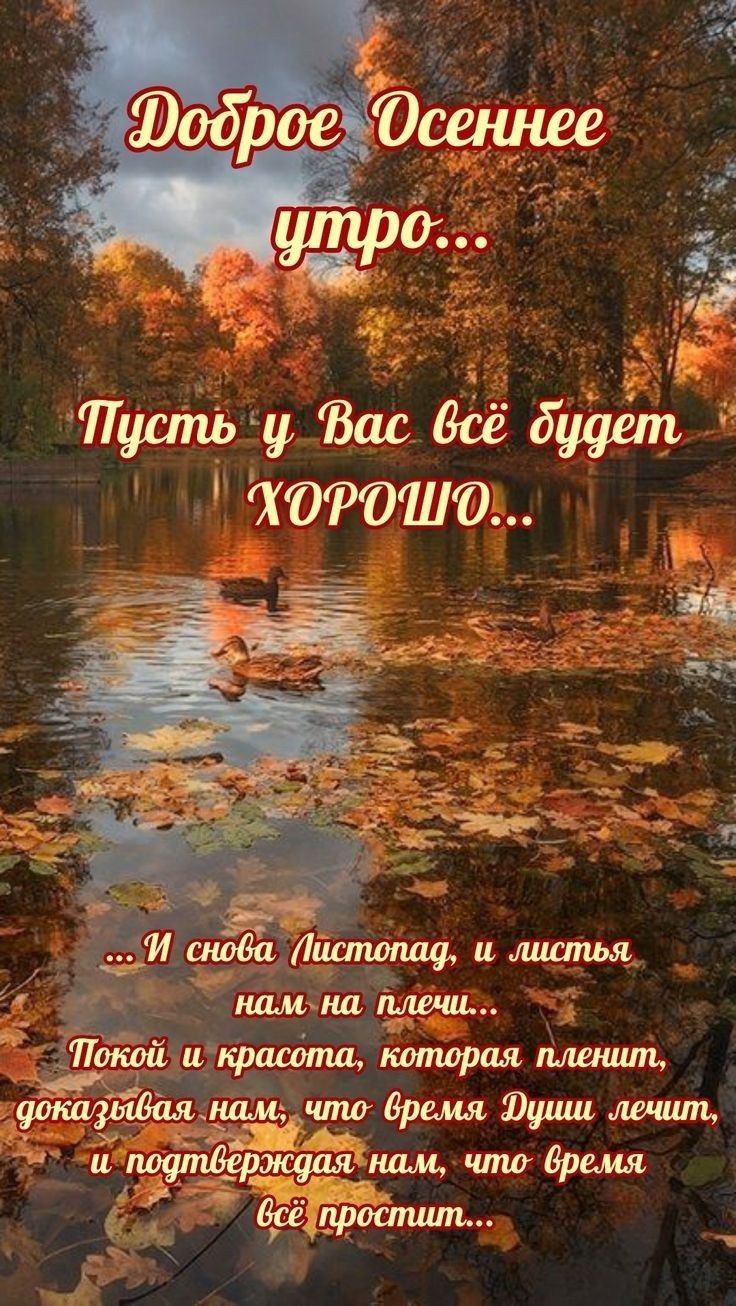 Доброе Осеннее утро...
Пусть у Вас всё будет ХОРОШО...
...И снова листопад, и листья нам на плечи...
Покой и красота, которая пленит, доказывая нам, что время Души лечит, и подтверждая нам, что время всё простит...