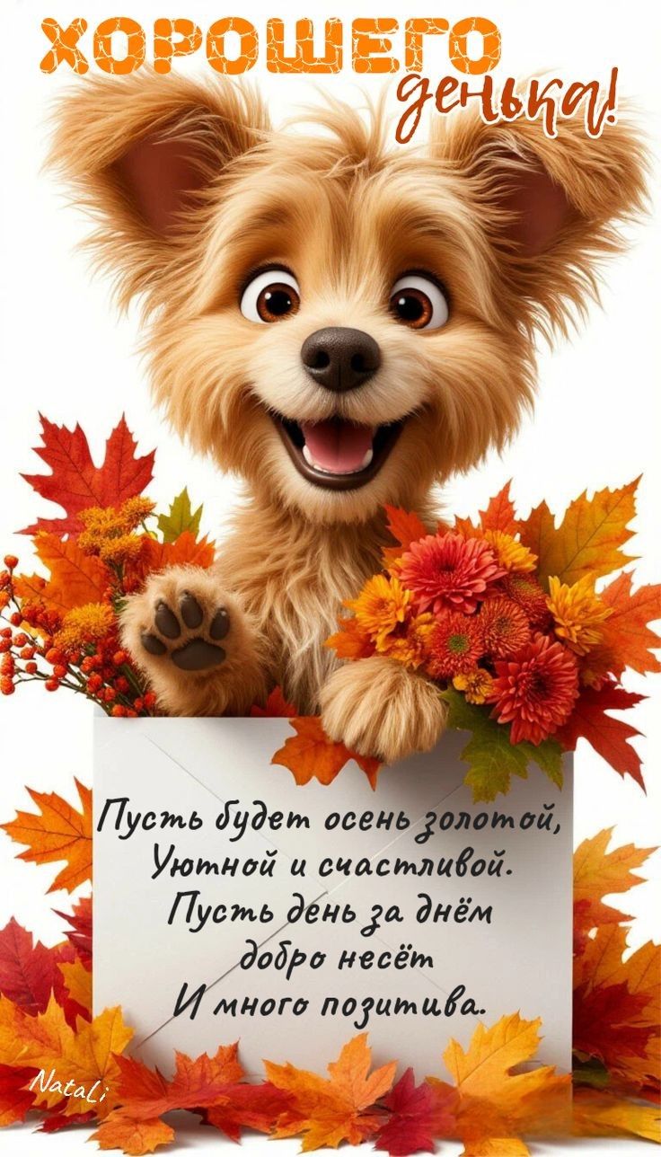 Хорошего денёк!

Пусть будет осень золотой,
Уютной и счастливой.
Пусть день за днём
добро несёт
И много позитива.