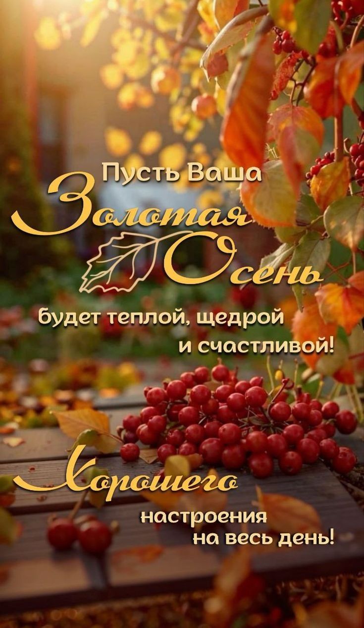 Пусть Ваша Золотая Осень будет теплой, щедрой и счастливой! Хорошего настроения на весь день!
