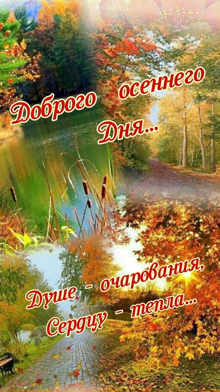 Доброего осеннего Дня...
Душе - очарования,
Сердцу - тепла...