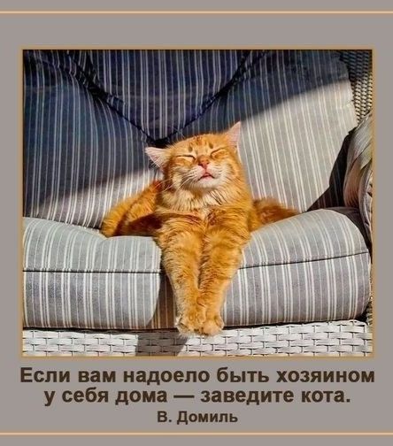 Если вам надоело быть хозяином у себя дома — заведите кота.
В. Домиль