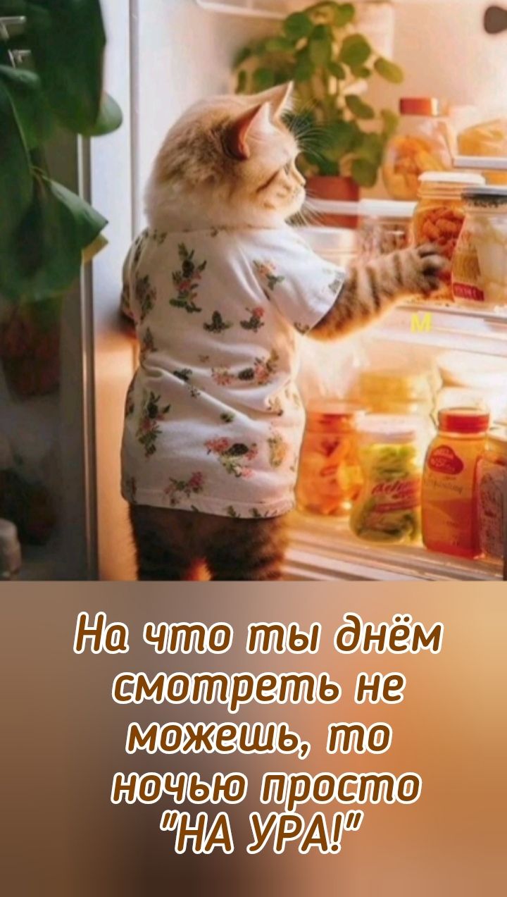 На что ты днём смотреть не можешь, то ночью просто 