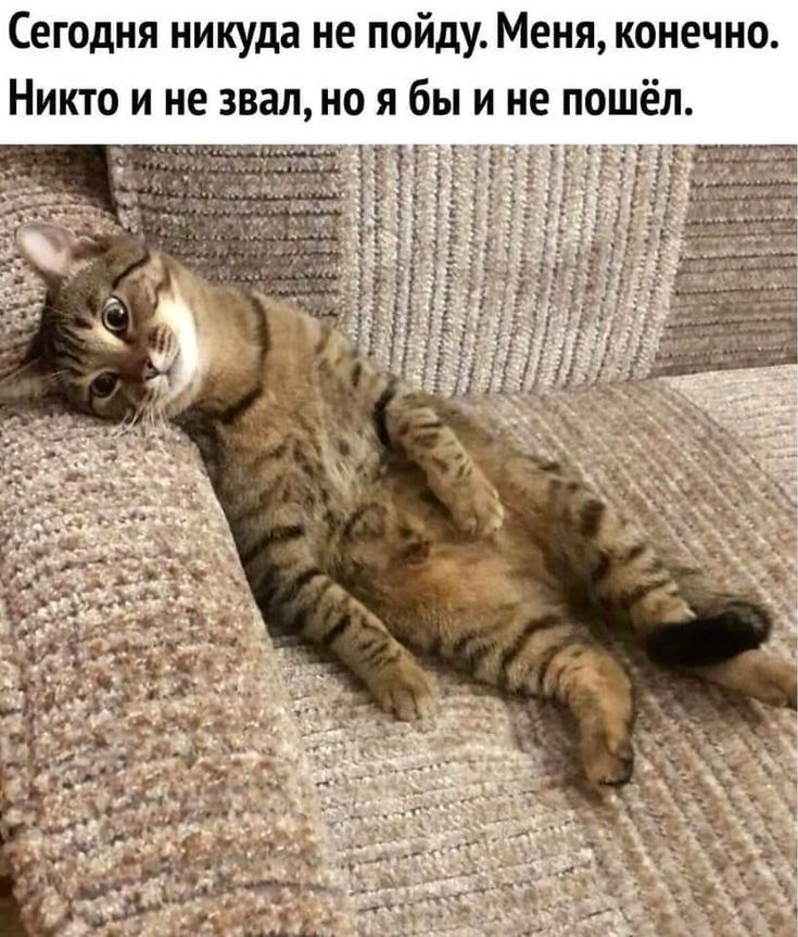 Сегодня никуда не пойду. Меня, конечно. Никто и не звал, но я бы и не пошёл.