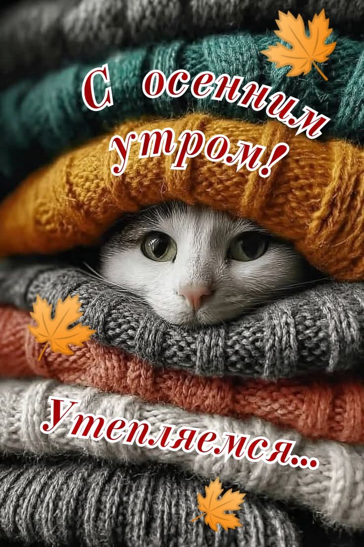 С осенним утром! Утепляемся...