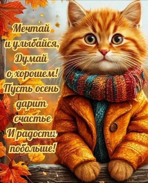 Мечтай и улыбайся, Думай о хорошем! Пусть осень дарит счастье И радость побольше!