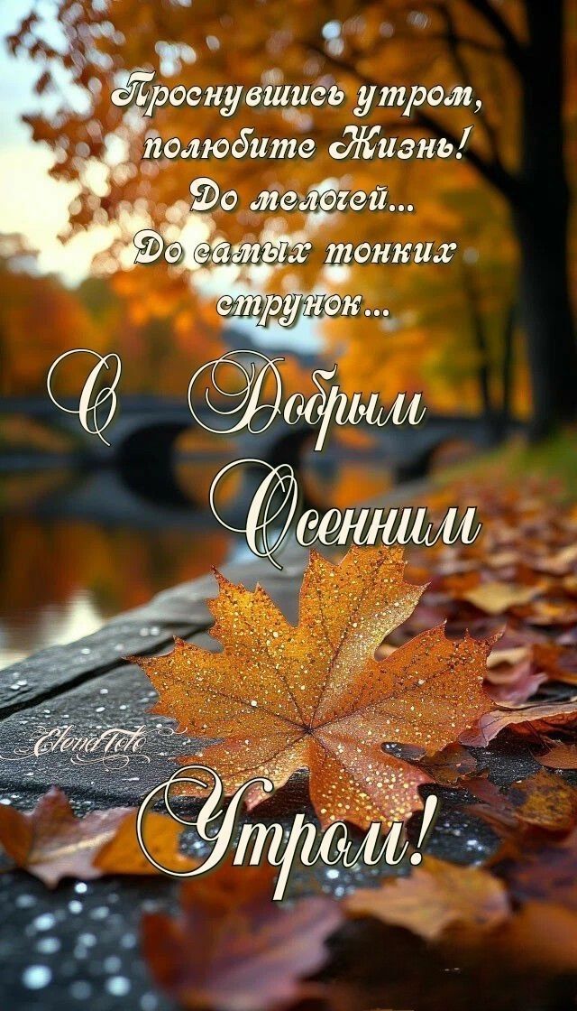 Проснувшись утром, полюбите Жизнь! До мелочей... До самых тонких струн... С Добрым Осенним Утром!