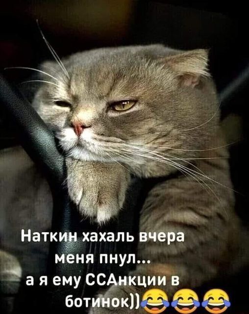 Наткин ха халь вчера меня пнул... а я ему ССАнкции в ботинок))