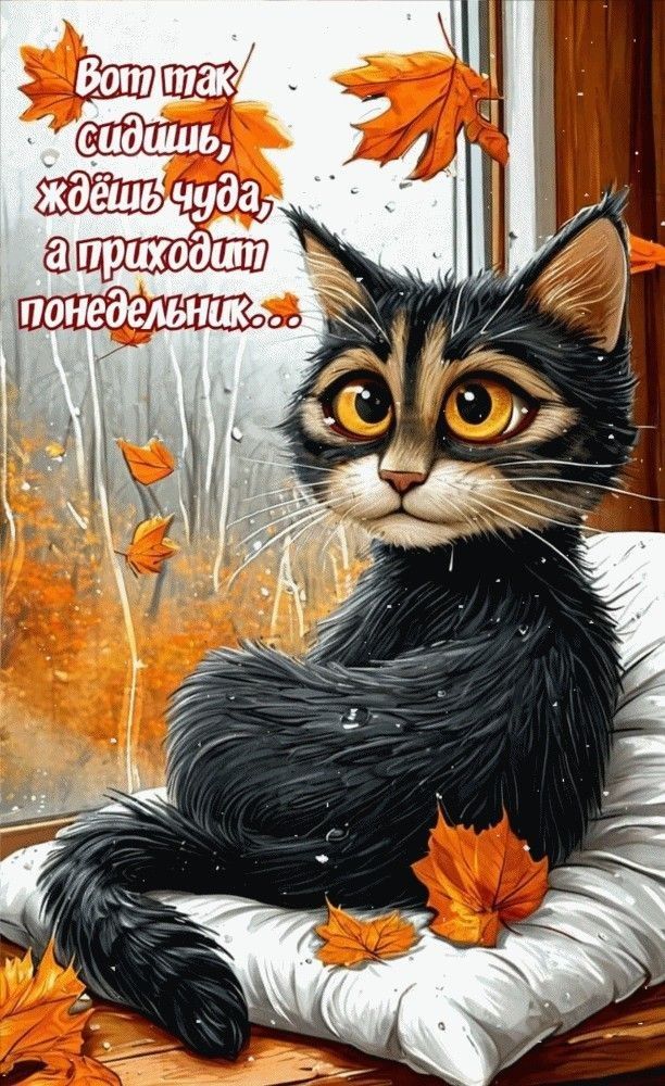 Вот так сидишь, ждёшь чуда, а приходит понедельник...