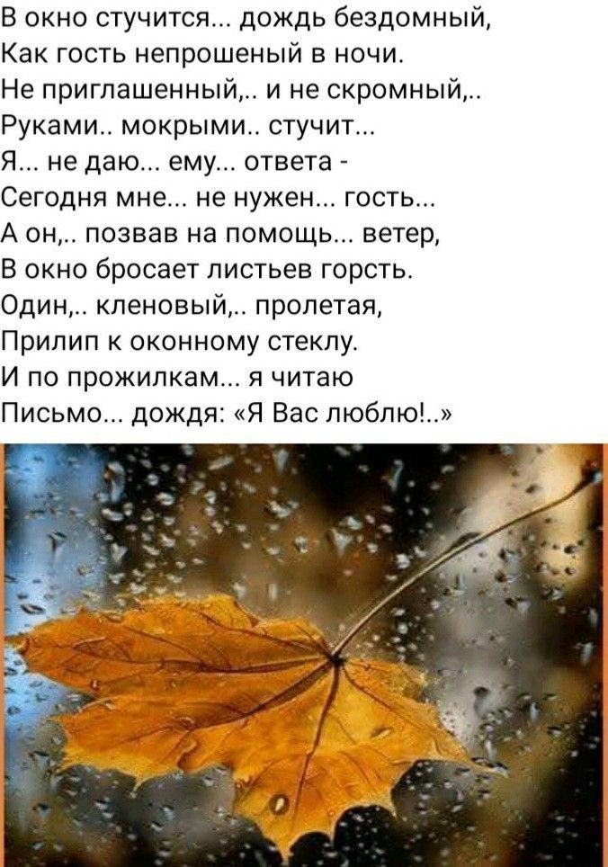 В окно стучится... дождь бездомный,
Как гость непрошенный в ночи.
Не приглашенный,.. и не скромный,.. 
Руками.. мокрыми.. стучит...
Я... не дам... ему... ответа -
Сегодня мне... не нужен... гость...
А он,.. позвав на помощь... ветер,
В окно бросает листвей горсть.
Один,.. кленовый,.. пролетая,
Приліп к оконному стеклу.
И по прожилкам... я читаю
Письмо... дождя: «Я Вас люблю!..»..
