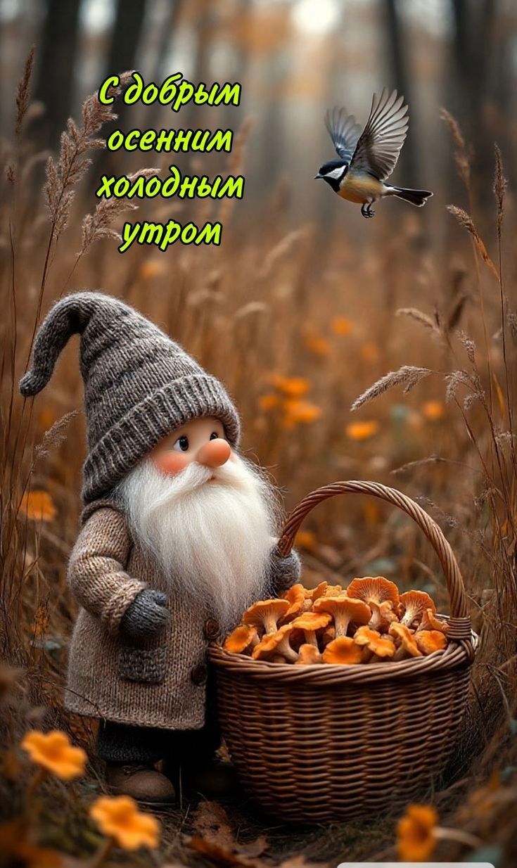 С добрым осенним холодным утром