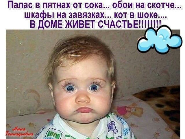 Палас в пятнах от сока... обои на скотче... шкафы на завязках... кот в шоке.... В ДОМЕ ЖИВЕТ СЧАСТЬЕ!!!!!!!!