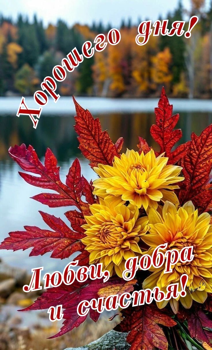 Хорошего дня! Любви, добра и счастья!