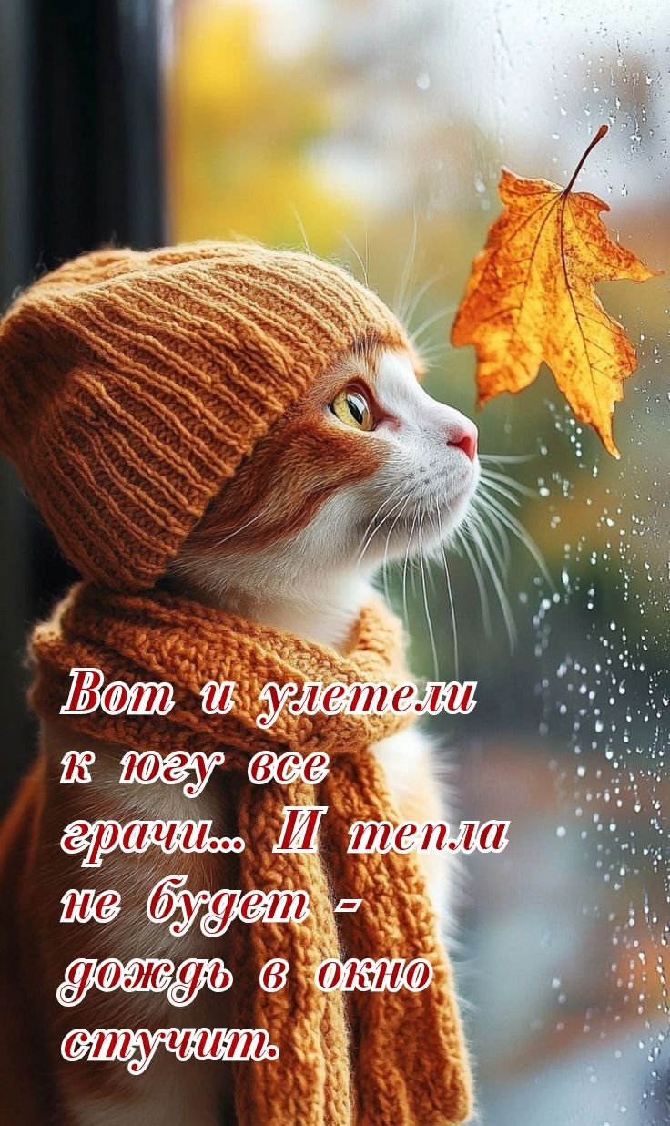 Вот и улетели к югу все грачи... И тепла не будет - дождь в окно стучит.