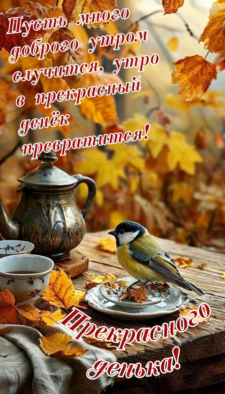 Шусть, много доброго утром случится, утро в прекрасный денёк превратится! Прекрасного денёка!