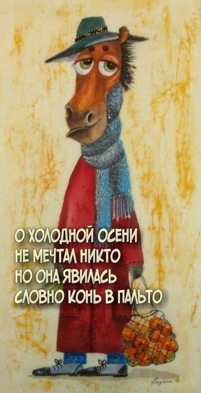 О холодной осени не мечтал никто, но она явилась словно конь в пальто