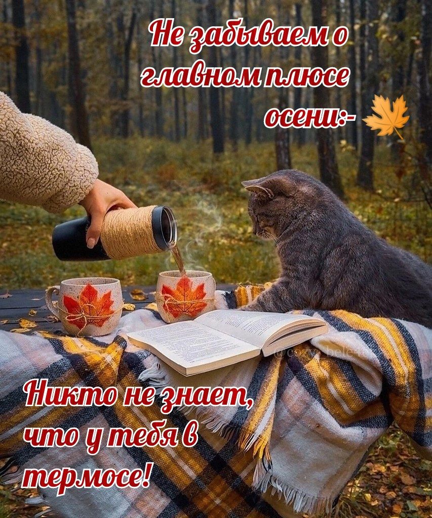 Не забываем о главном плюсе осени:-
Никто не знает, что у тебя в термосе!