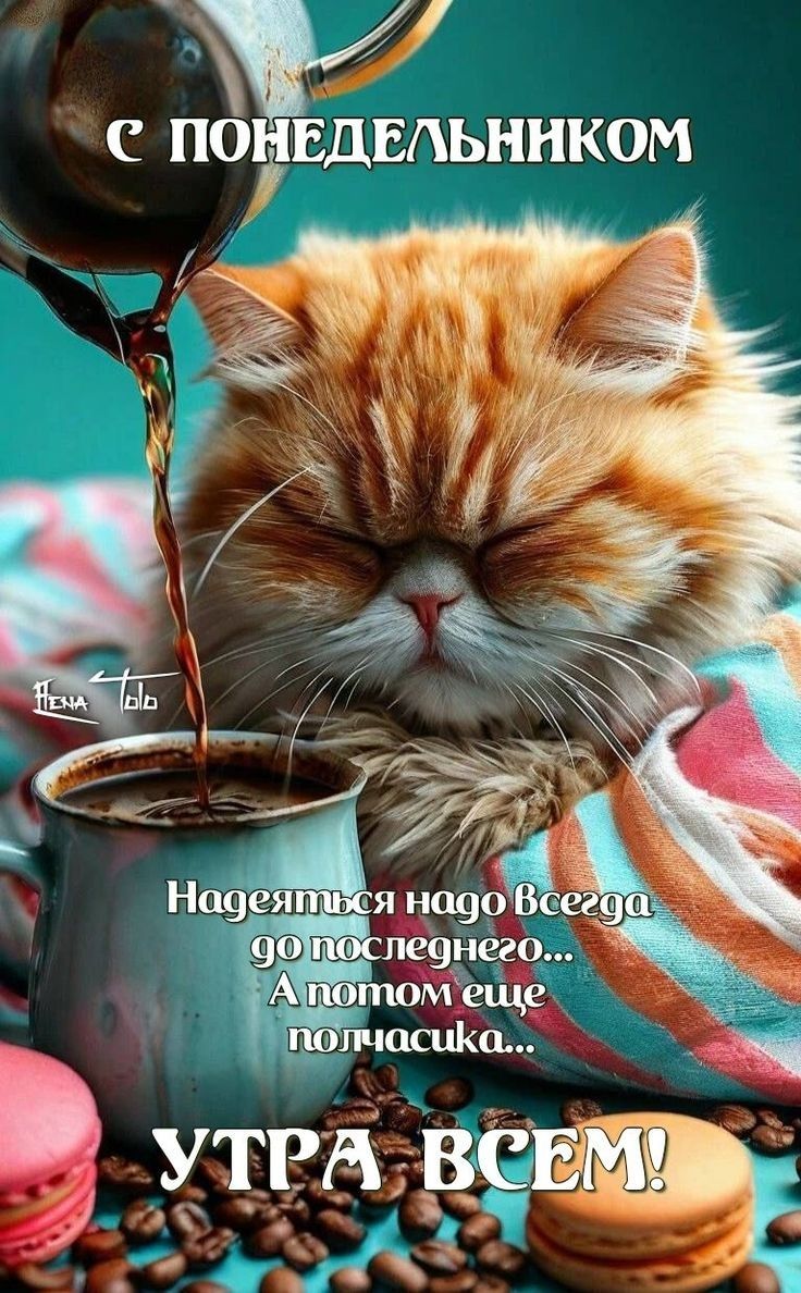 с понедельником
Надеяться надо всегда до последнего... А потом еще полчасика...
УТРА ВСЕМ!